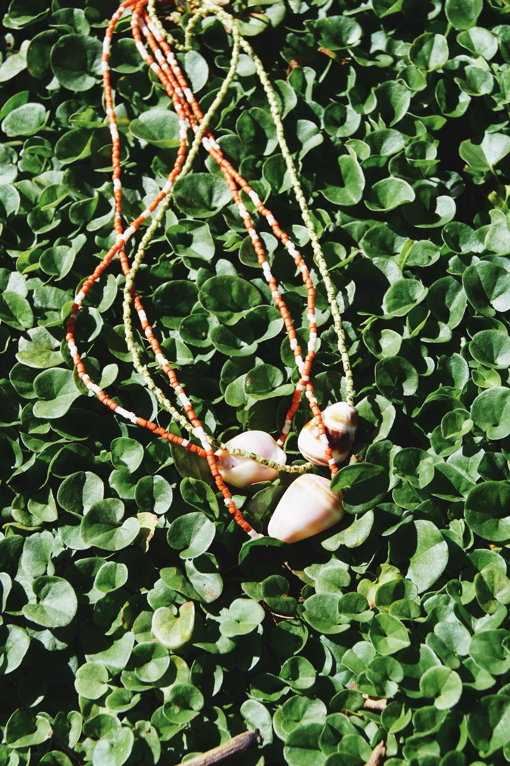 ED2D4B20-FEC9-4D6D-BC2C-30A27F8C2495