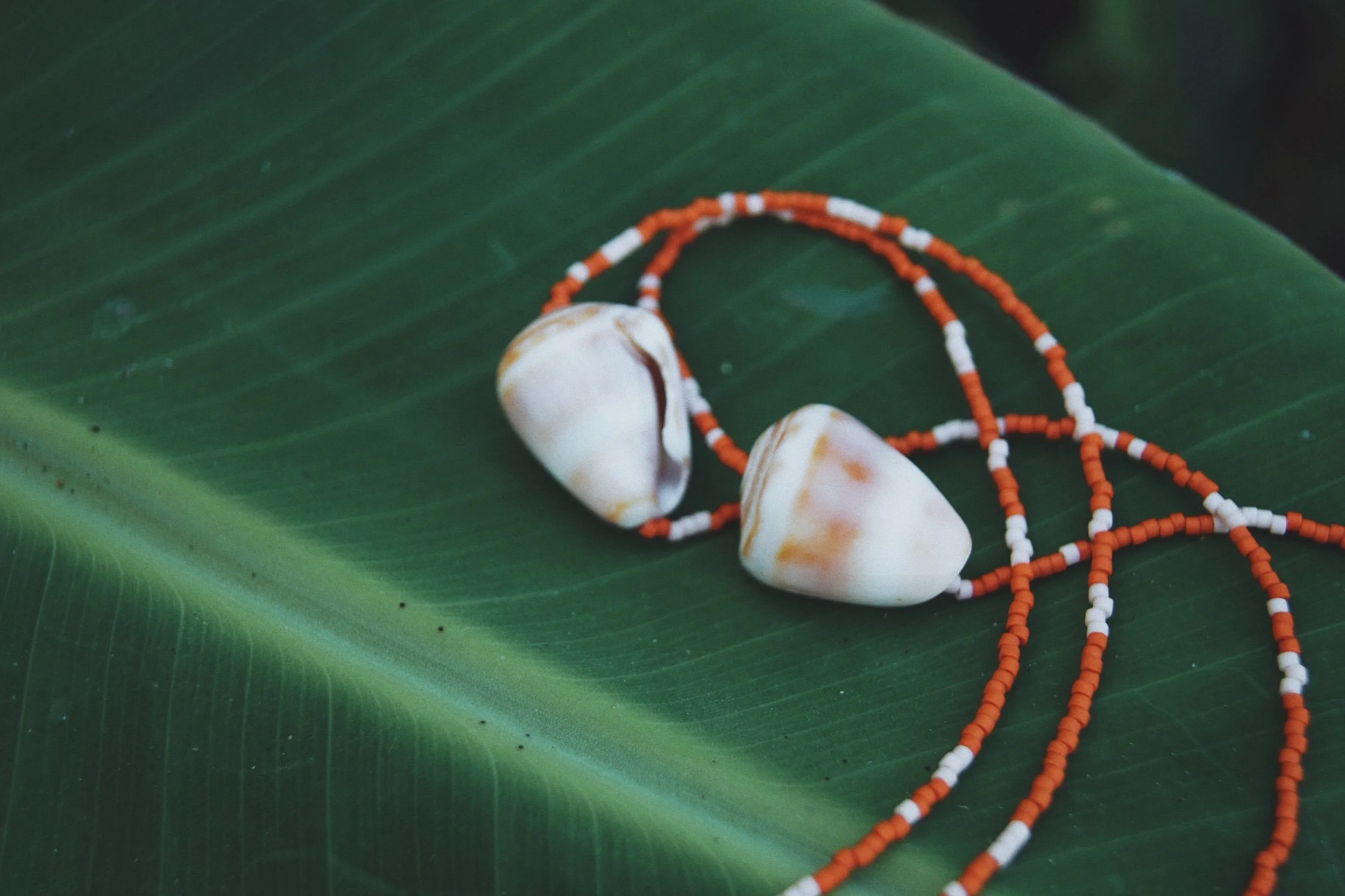 D164C69E-6214-48A8-9BCF-9DF15CCD991A