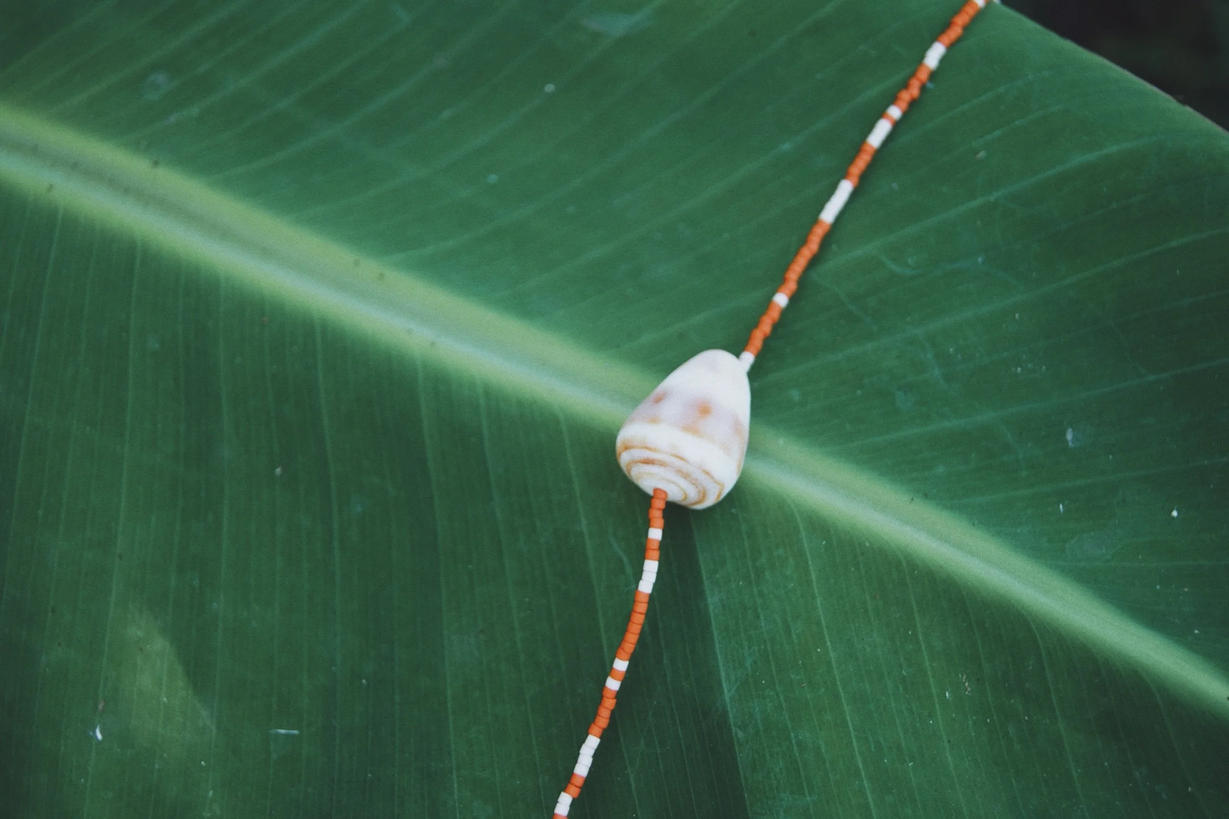 13882CFC-5ECA-4748-BD2D-64A8C64BB5E2