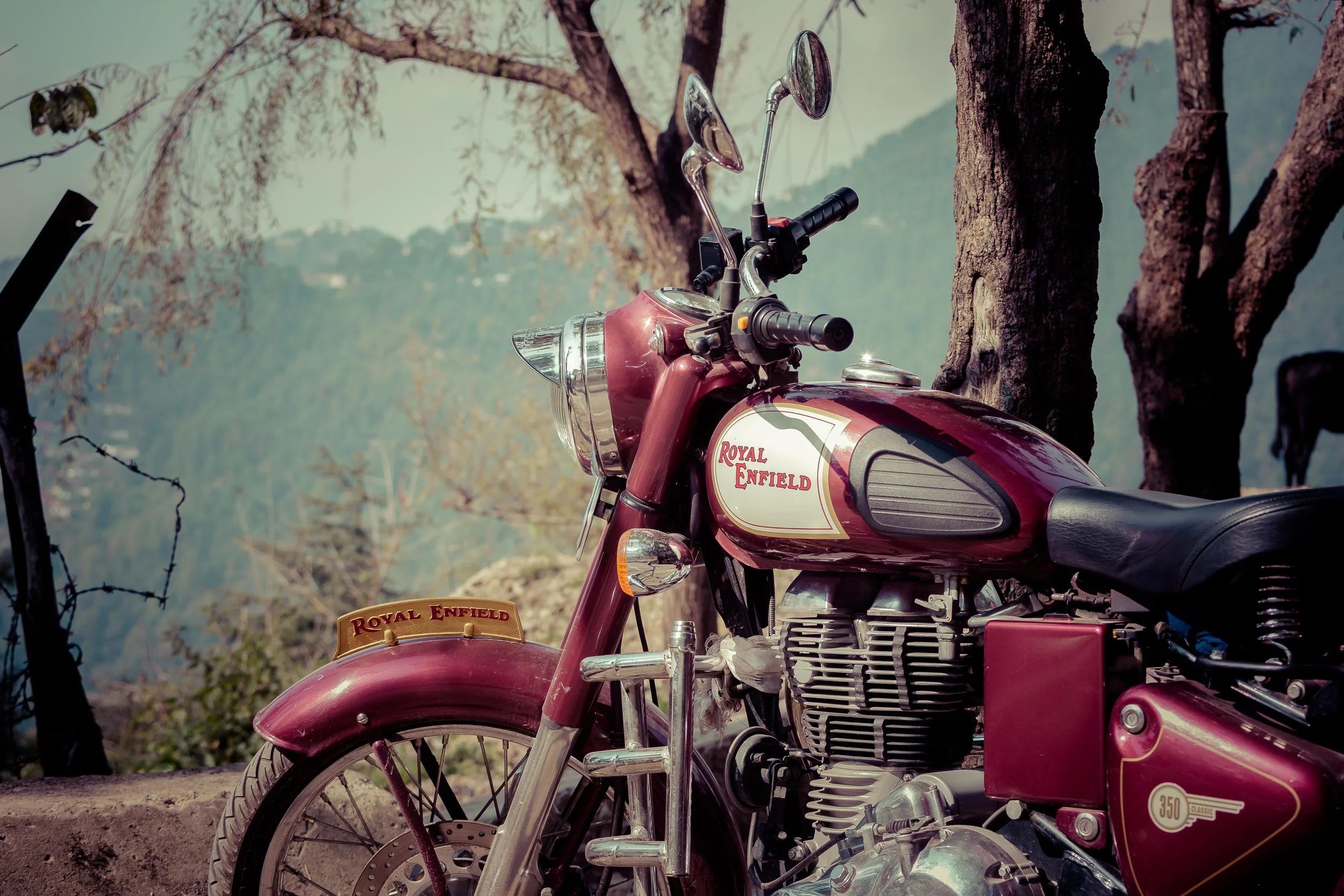 Dready Sadhu-136.jpg