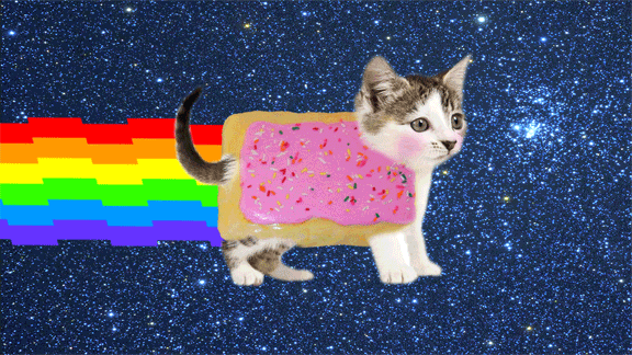 giphy-7.gif