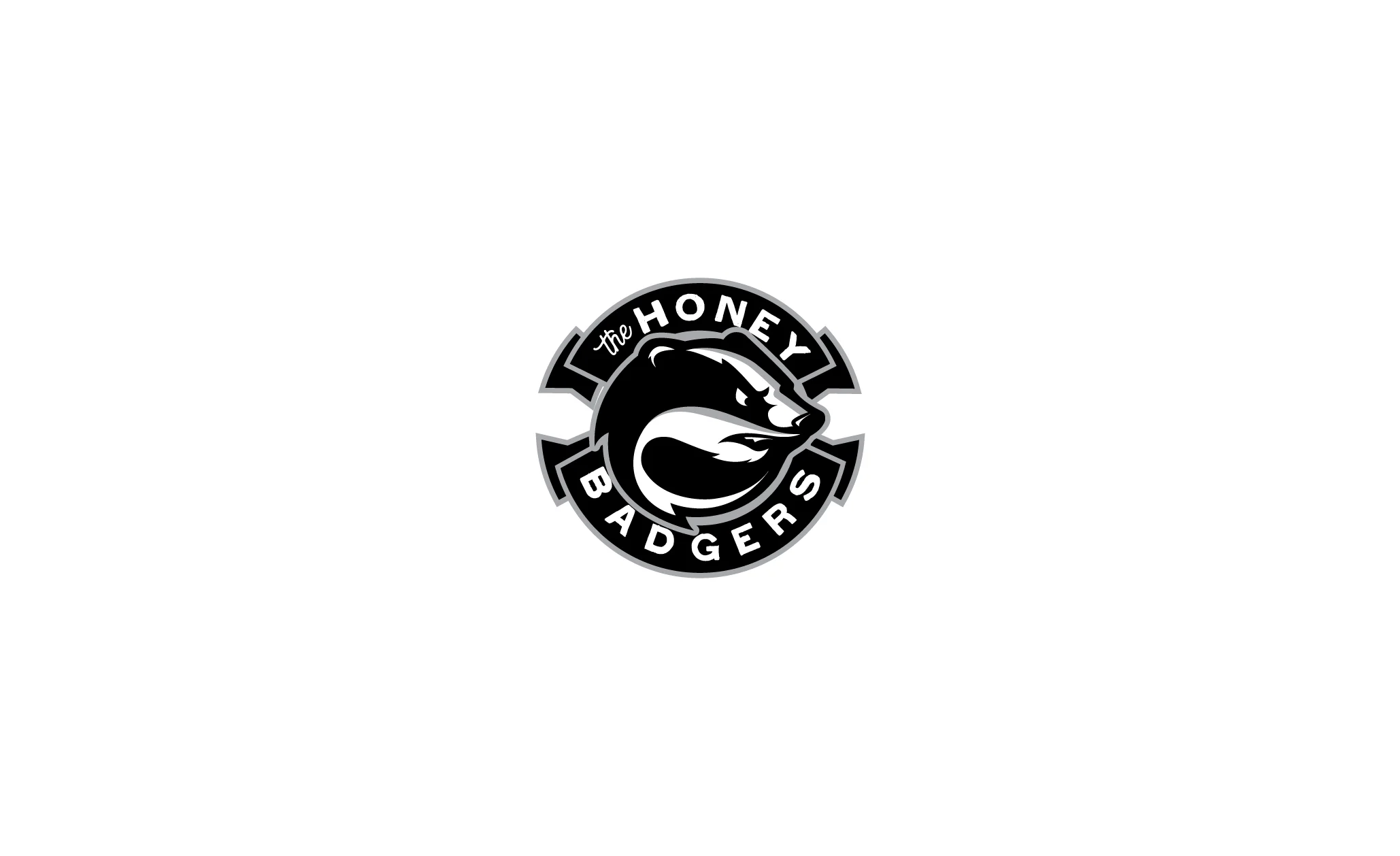 logo-design-megan-munro-honeybadgers.jpg