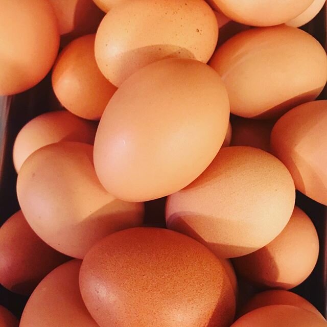 Support your local Providers!
We have @3brothersfarm eggs for $5 a dozen at Engine Company No.3 and La Merenda. Call or order online!
.
.
.
#localfarms #enginecompany3 #lamerenda #eggs #3brothersfarm