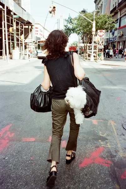 Photo by Meredith Jenks