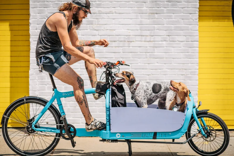 Brian (with Fritz and Gromit) rides a Bullitt 11-speed cargo bike from Copenhagen photographed on North 6th st. and Wythe Ave., Brooklyn, cruising around Williamsburg. Photos by Preferred Mode and a book called New York Bike Style