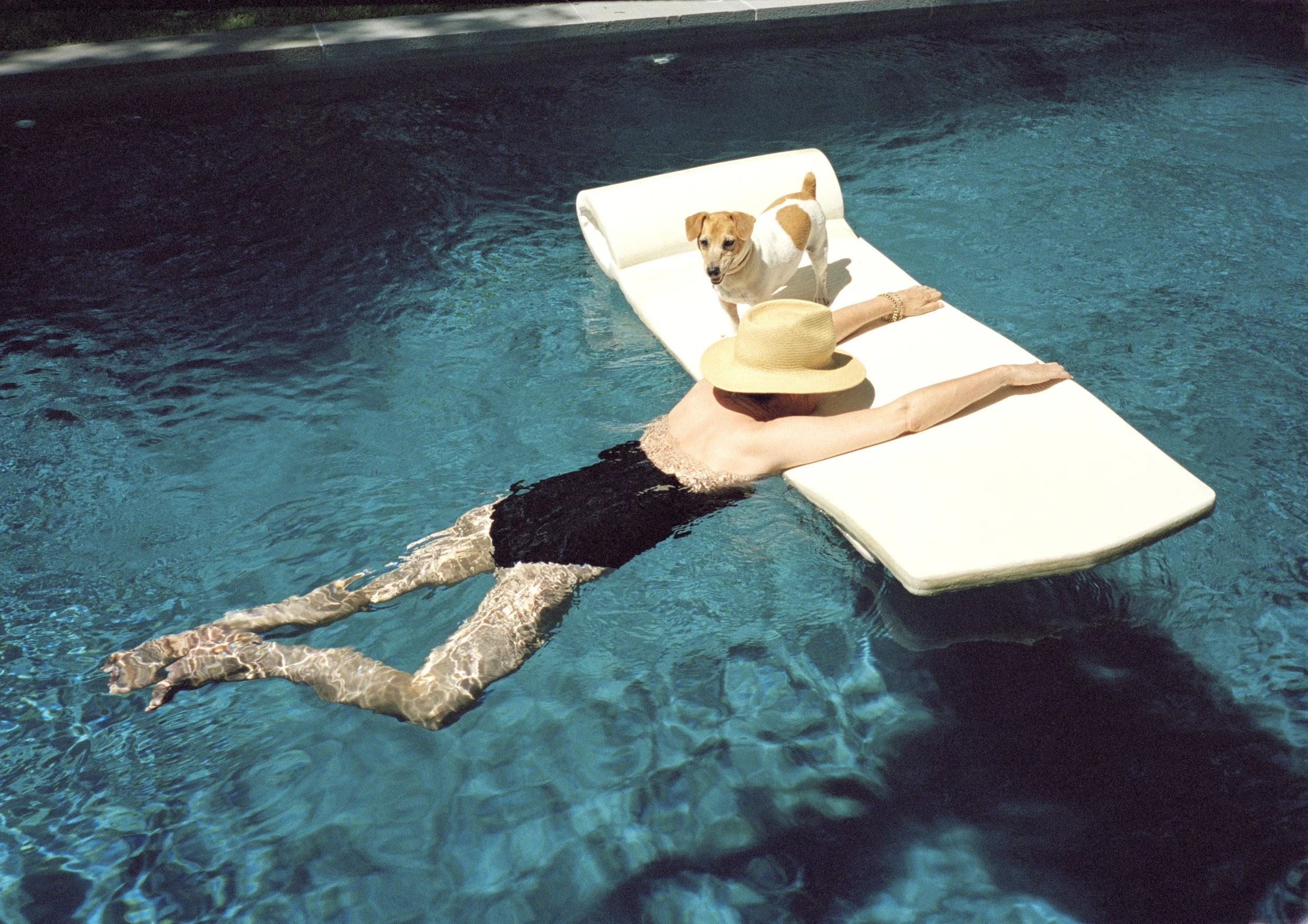 Mrs Sizzle Pamela Hanson dog.jpg