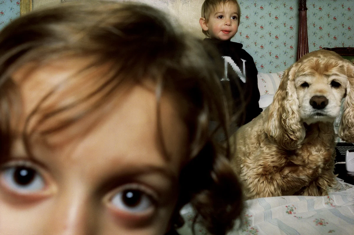 Cooper, Nolan, and Bailey, Armonk 2005