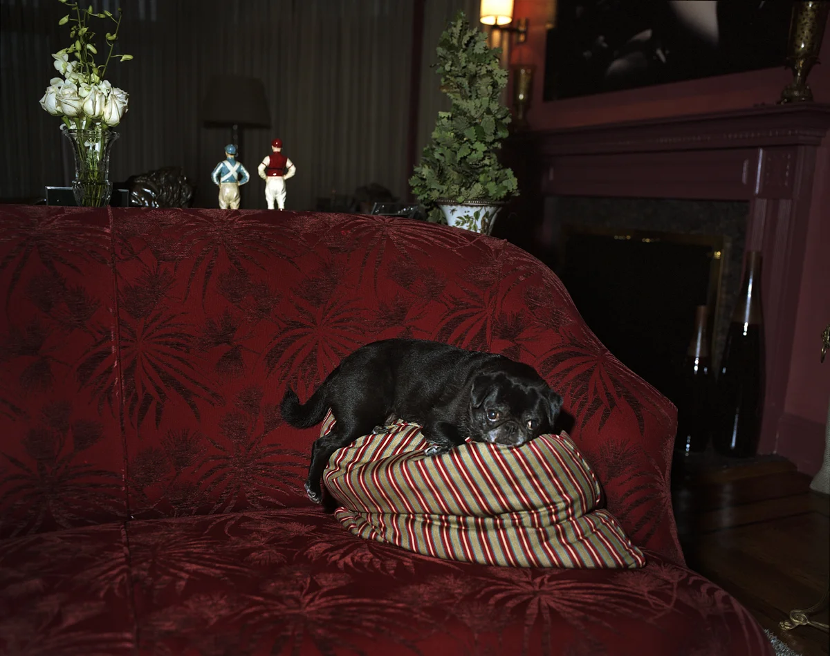 Bibi at Thanksgiving, Armonk 2009