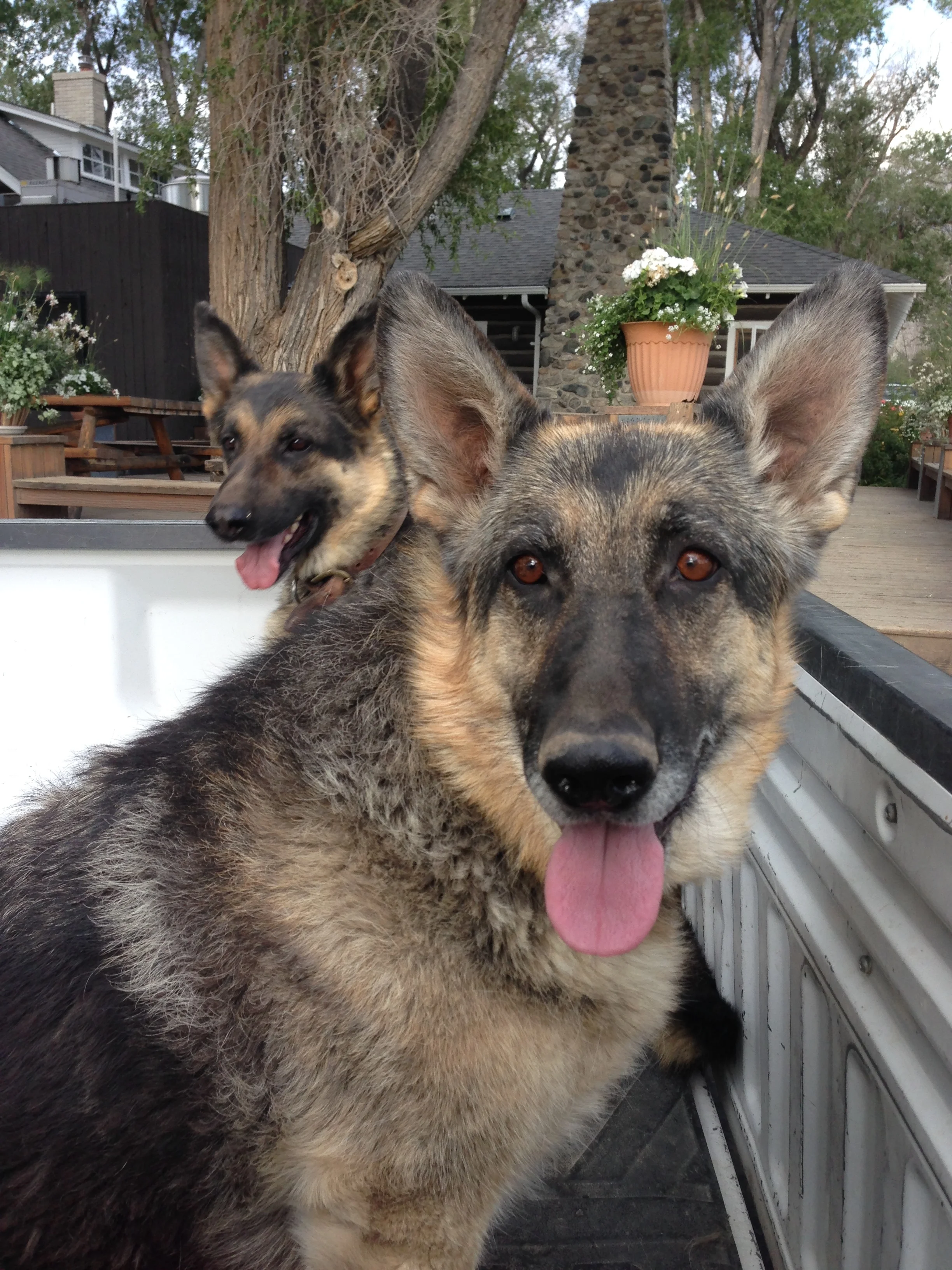 Sonny and Butch