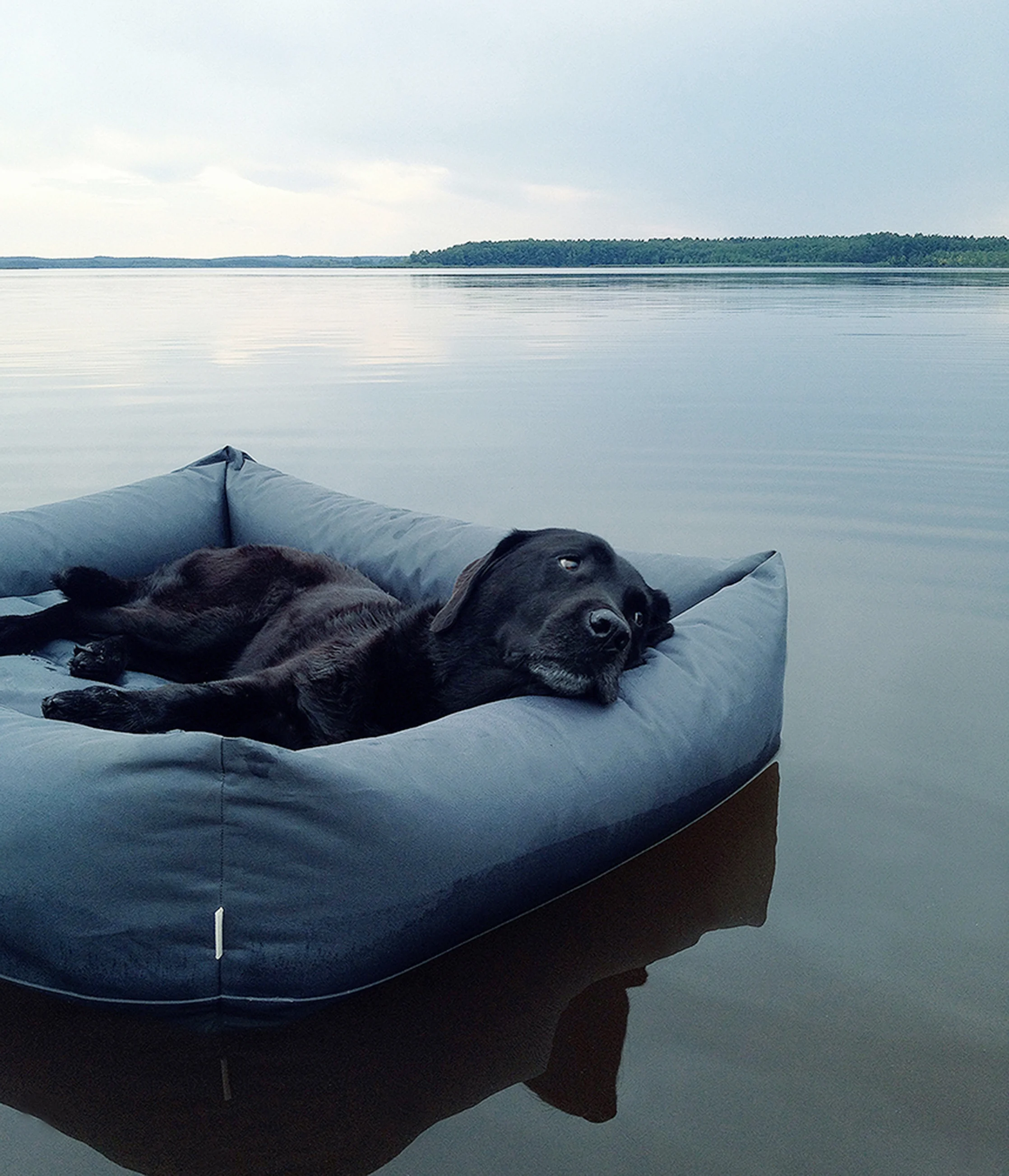 Floating Johan