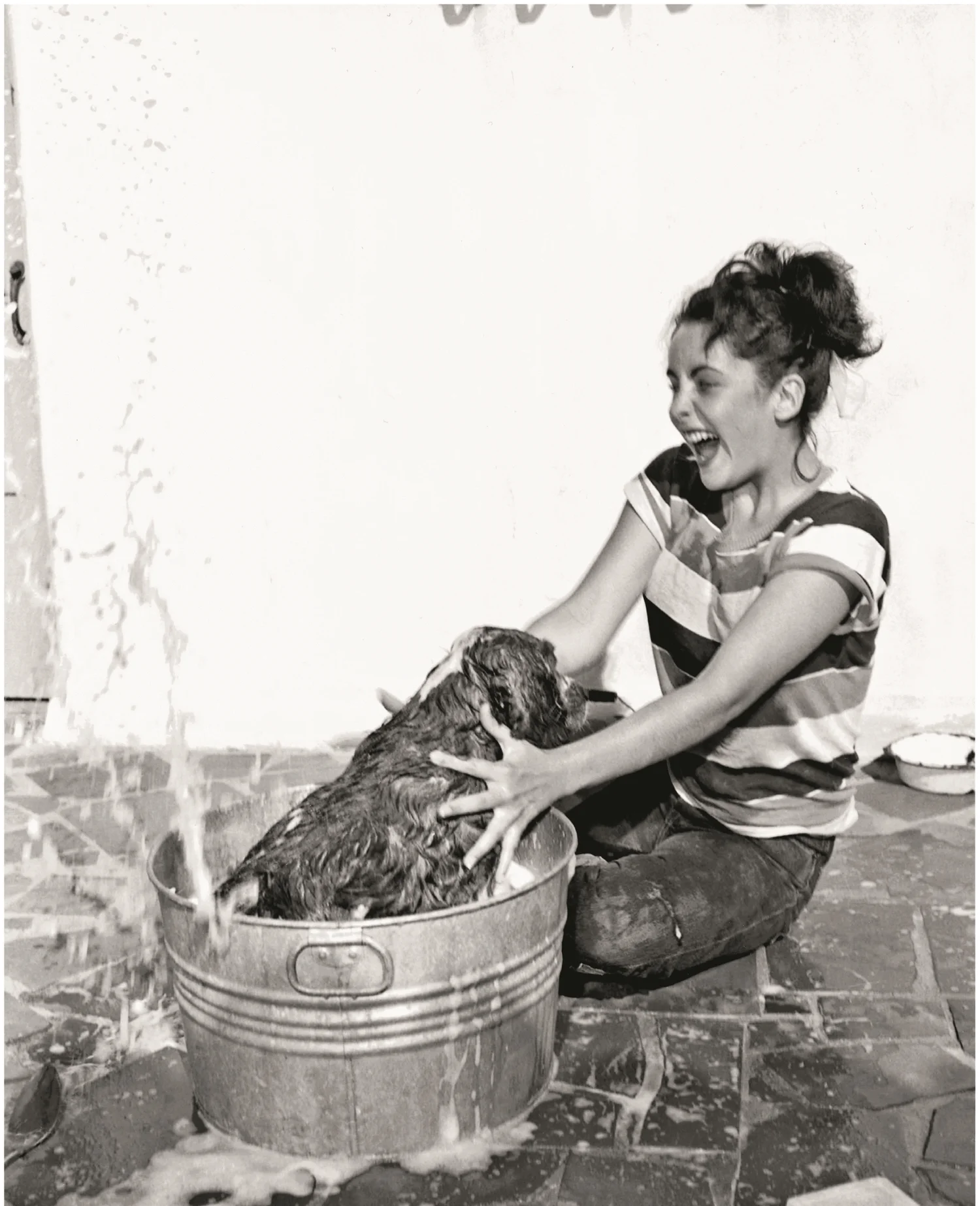 Elizabeth Taylor, MGM, 1950 &nbsp;Throughout her life Elizabeth Taylor was devoted to her dogs, and is seen here attempting to bathe her Cocker Spaniel, Amy.