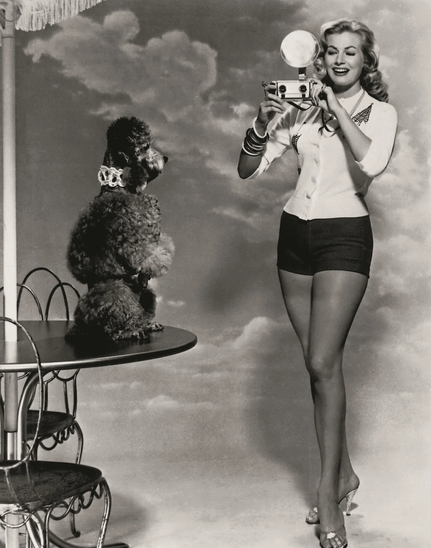 The Former Miss Sweden (1950), Anita Ekberg, is seen here in a typical 'cheesecake' pose with a Poodle, to be used for promotional publicity shots. Her screen career was largely unremarkable until she was used by Fellini in his 1960 film La DolceVita, getting soaked in the Trevi Fountain in Rome.