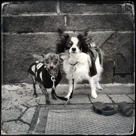 Josephine and Napoleon