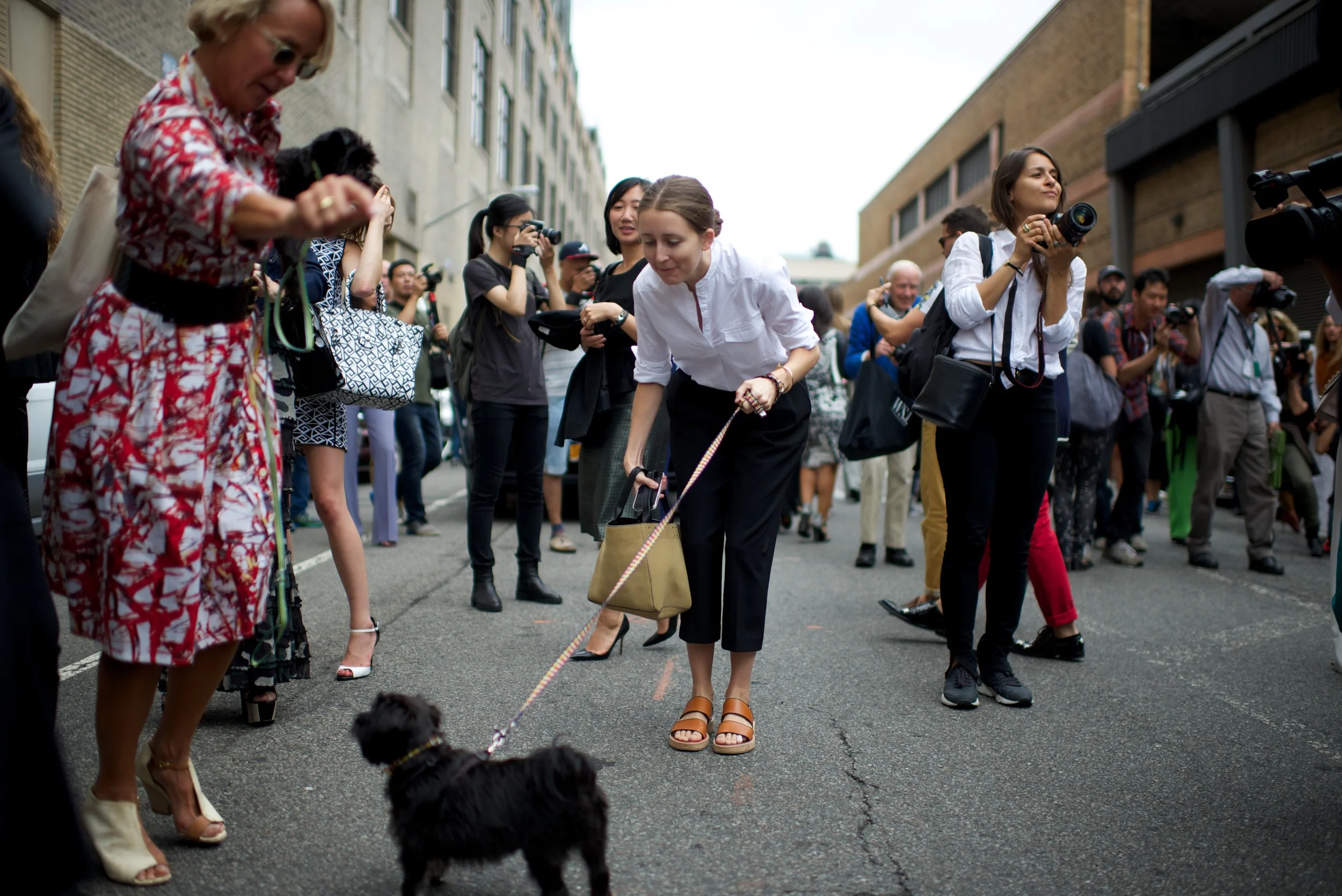 Becky Malinsky WAGGO