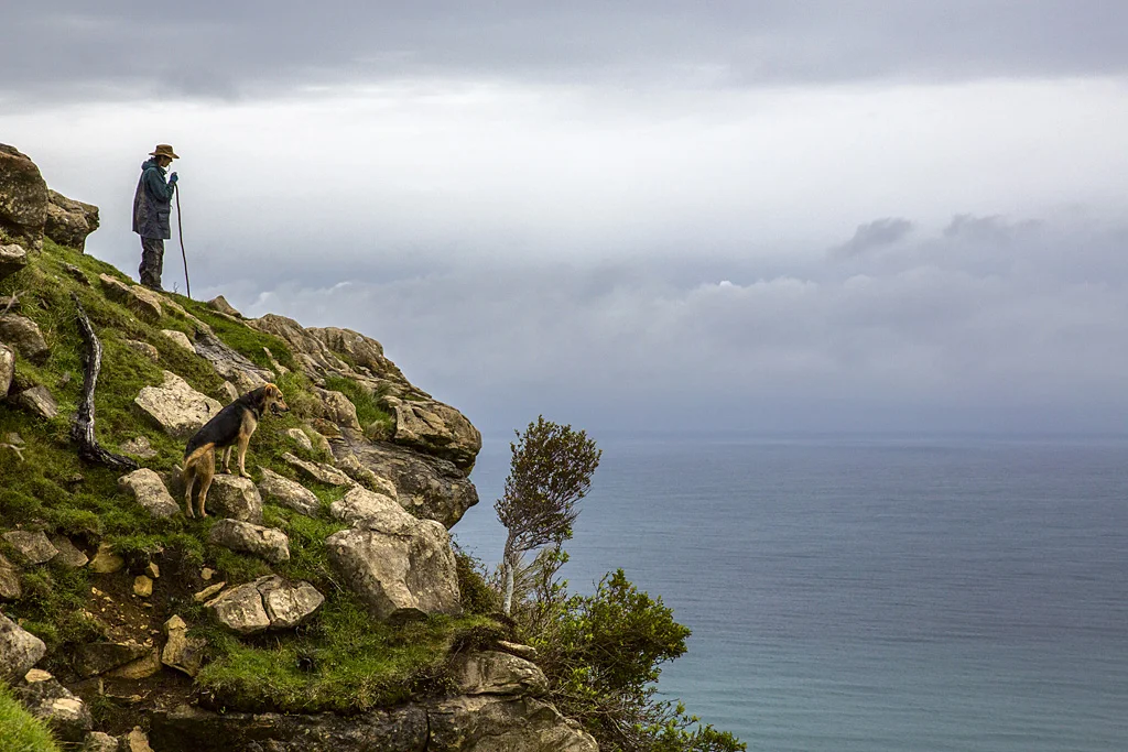 Shepard on the Cliff