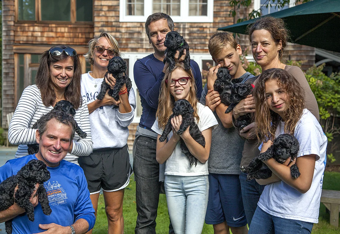 From left to right: 8 people 8 puppies Steve, Una, Suzanne, James, Lucinda, Quinn, Jane, Flossy