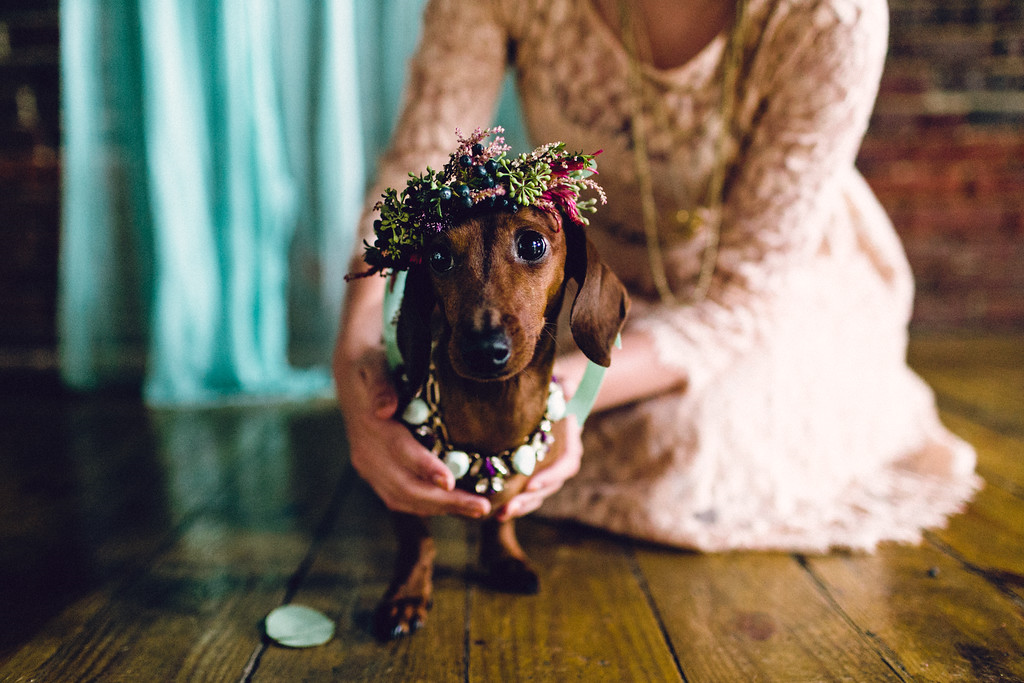 The Bride