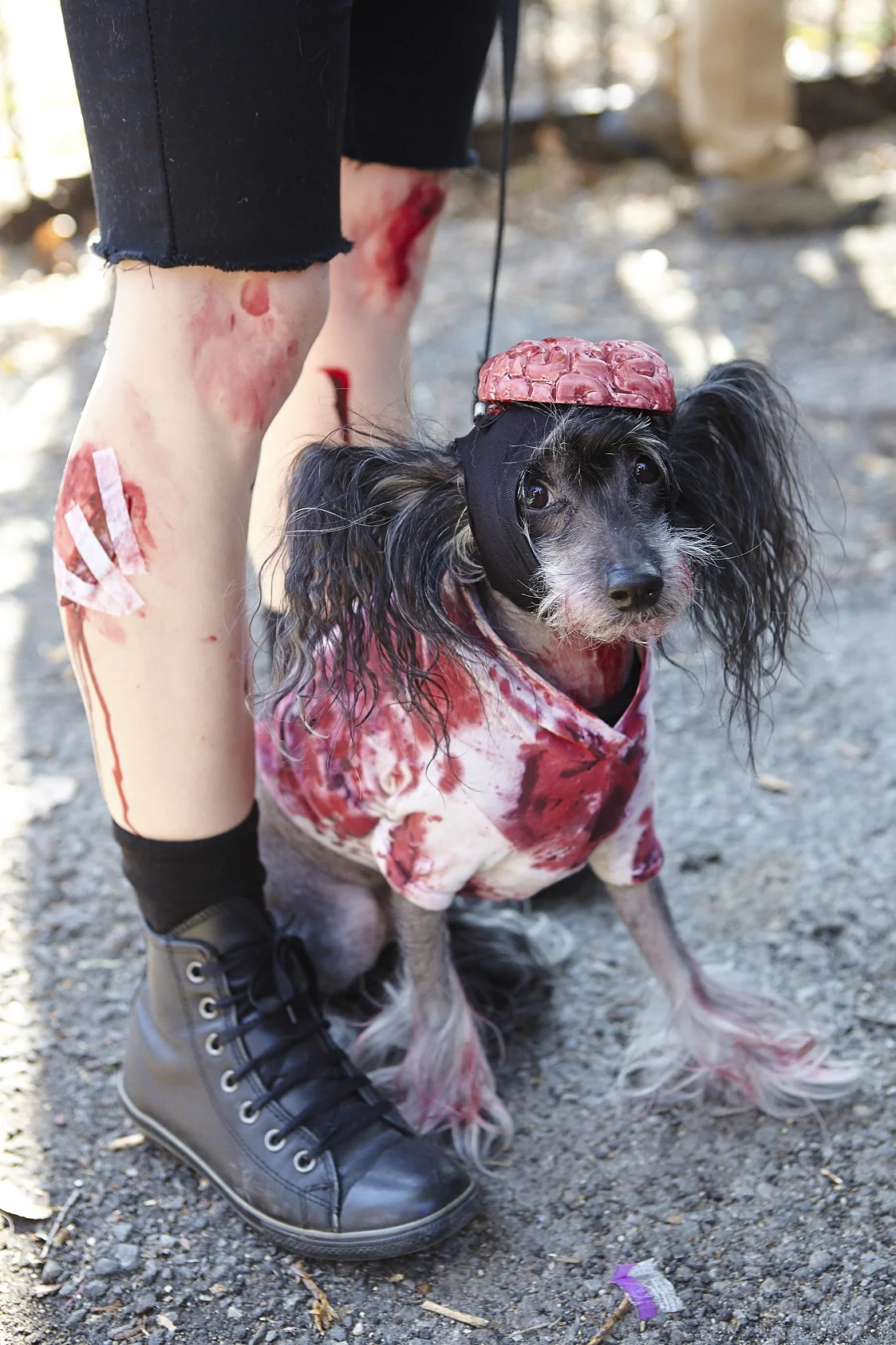 Scary Halloween