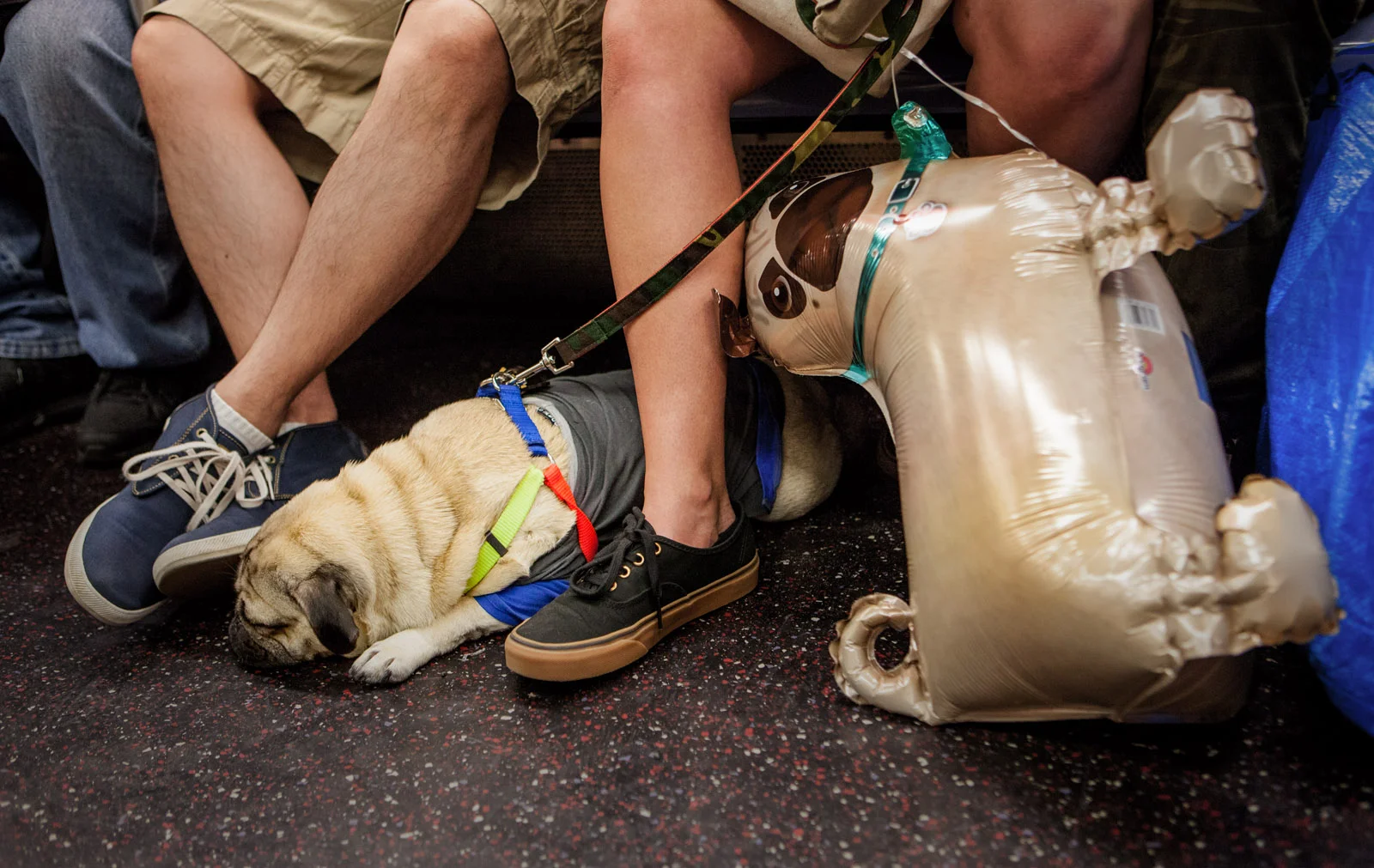 Photo: Robert Stoetzel