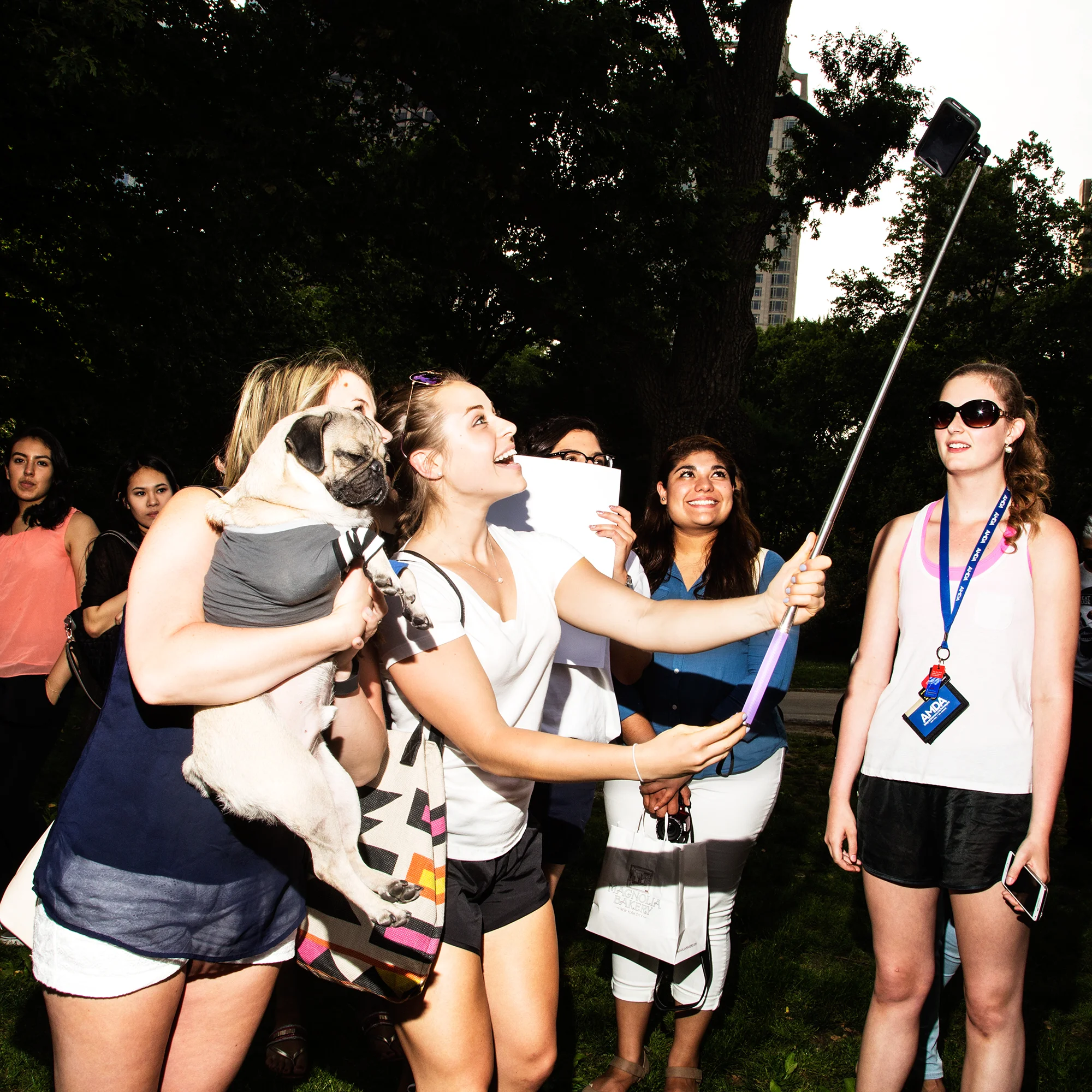  Instagram celebrity Doug the Pug for Mrs Sizzle 