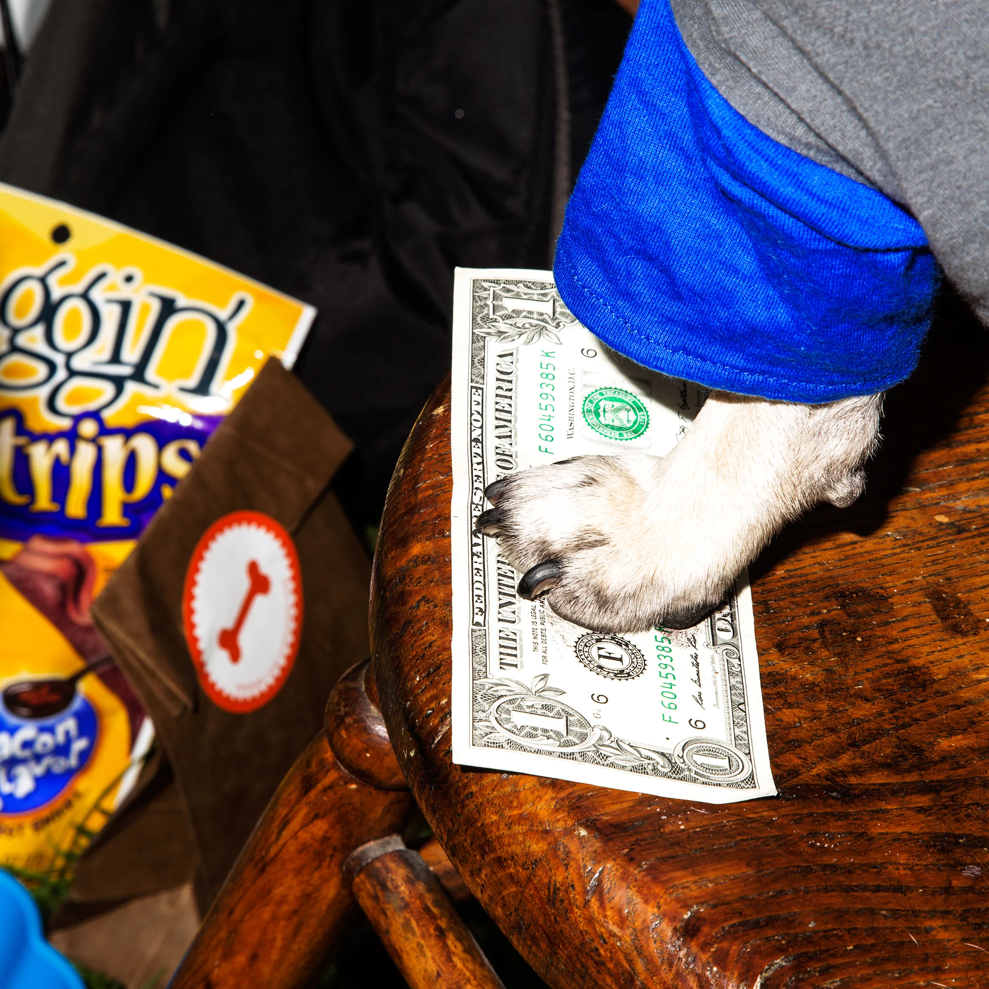  Instagram celebrity Doug the Pug for Mrs Sizzle 