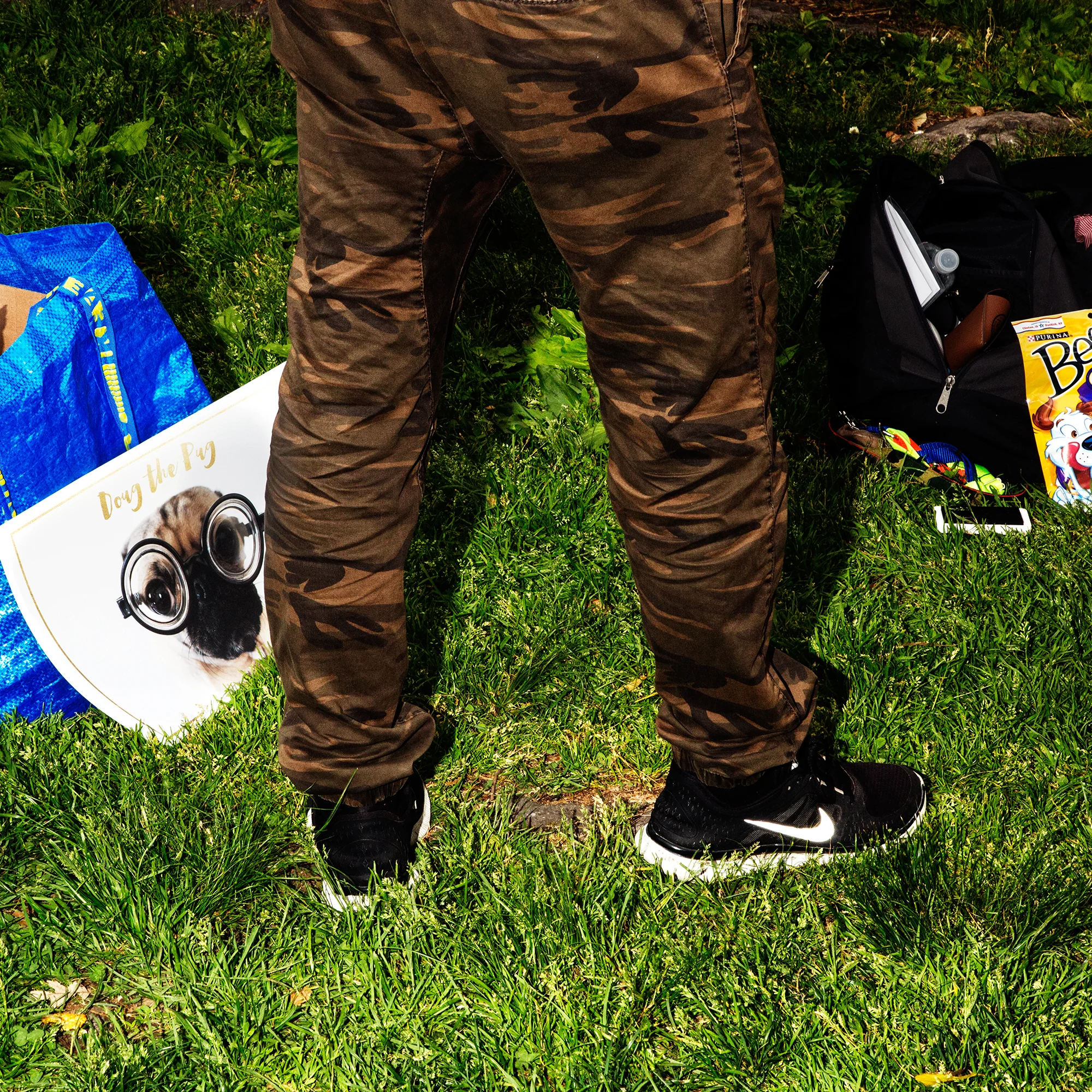  Instagram celebrity Doug the Pug for Mrs Sizzle 