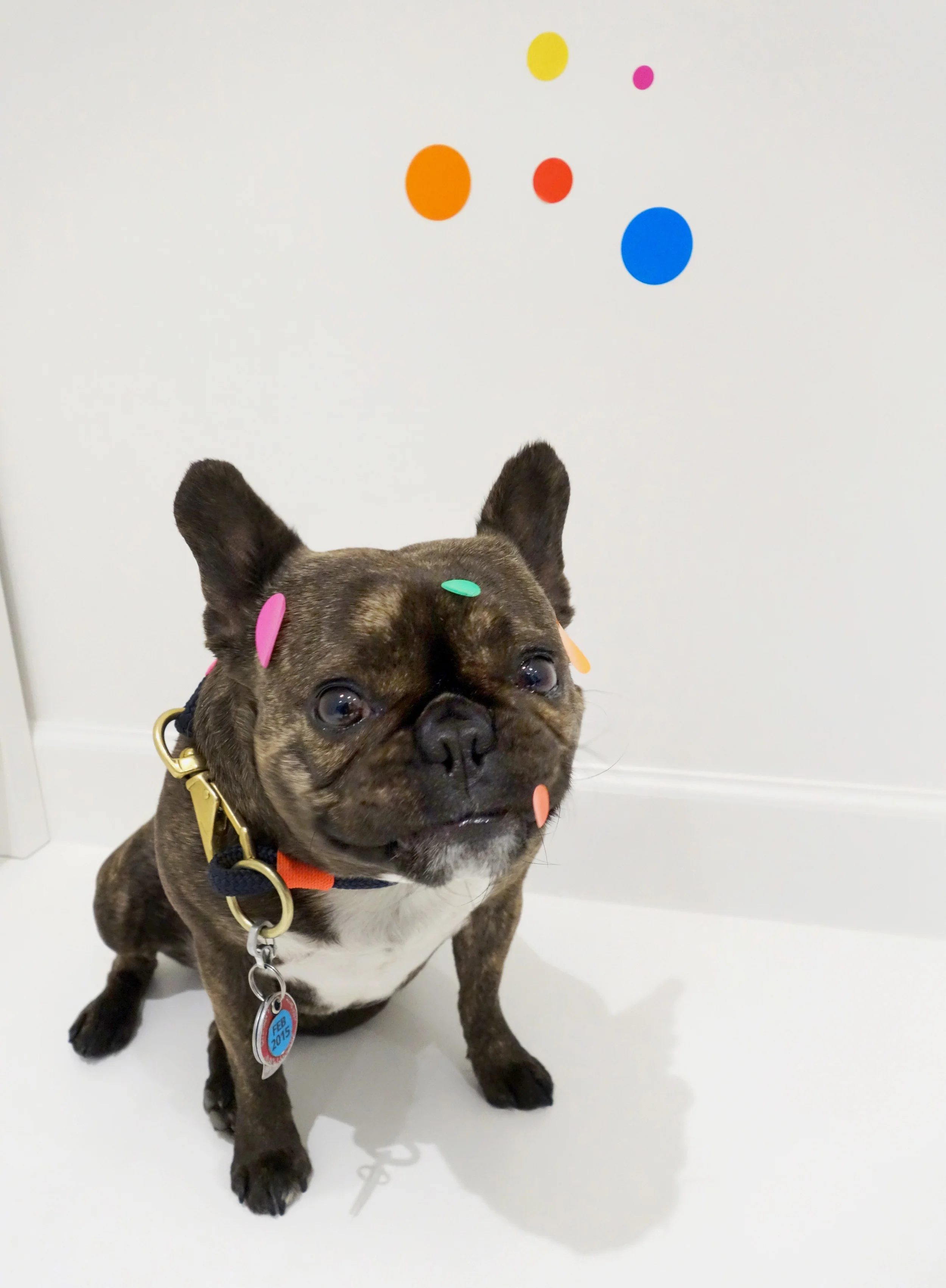 I got stickers in my mouth! Yayoi Kusama “The obliteration room,” 2002-Present in Give Me Love at David Zwirner.