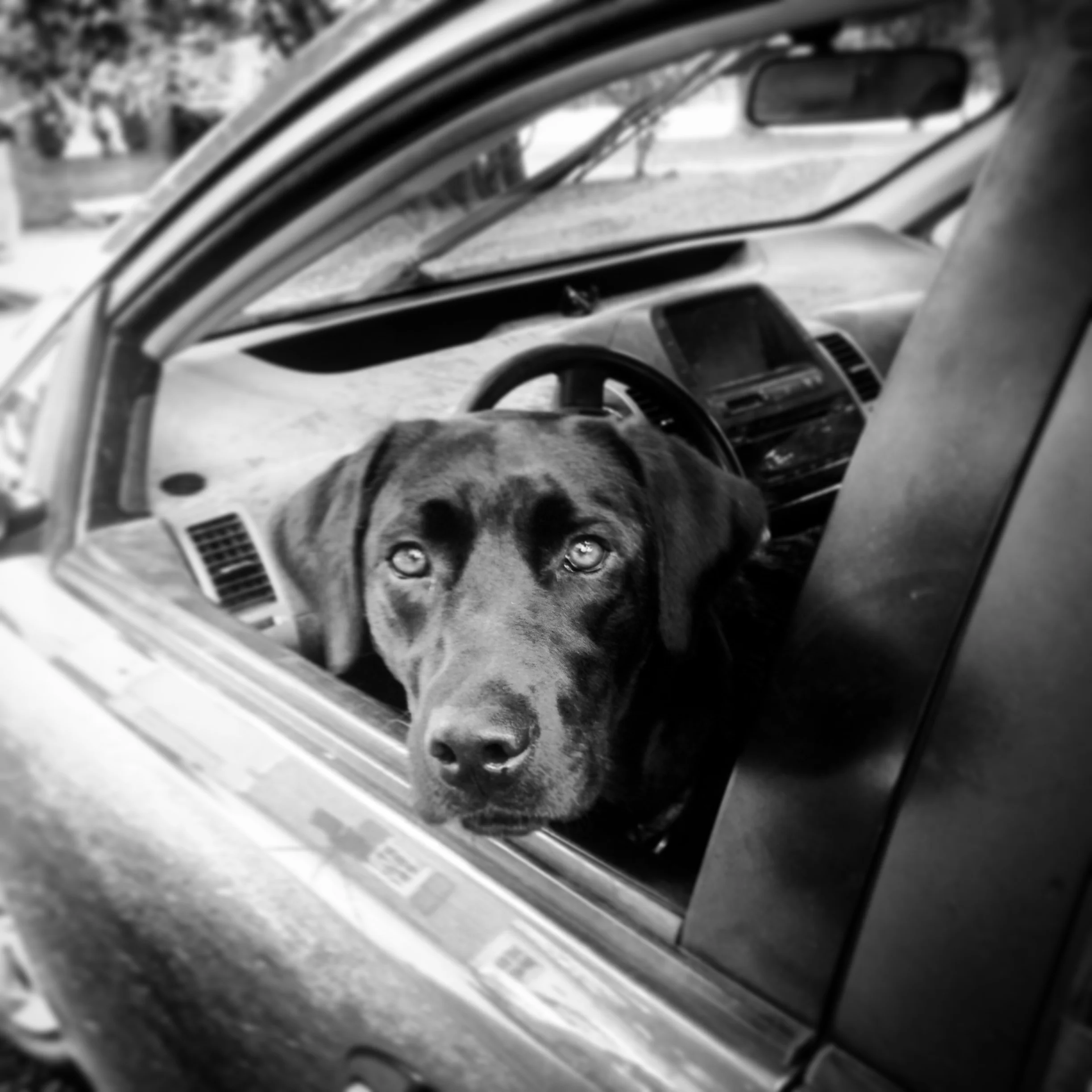Photo: Noe DeWitt
