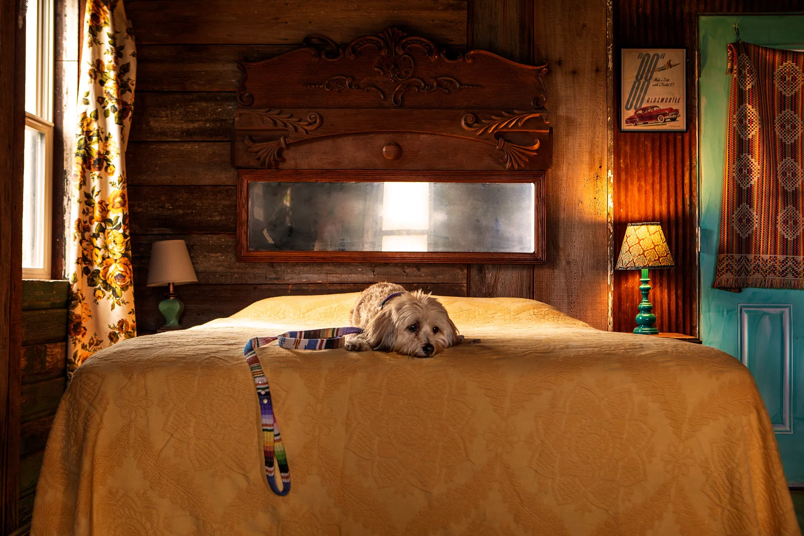 Product from the story: Beast and Babe, Tanner Goods, Penn and Pooch, Billy Wolf all available at Dog & CO .