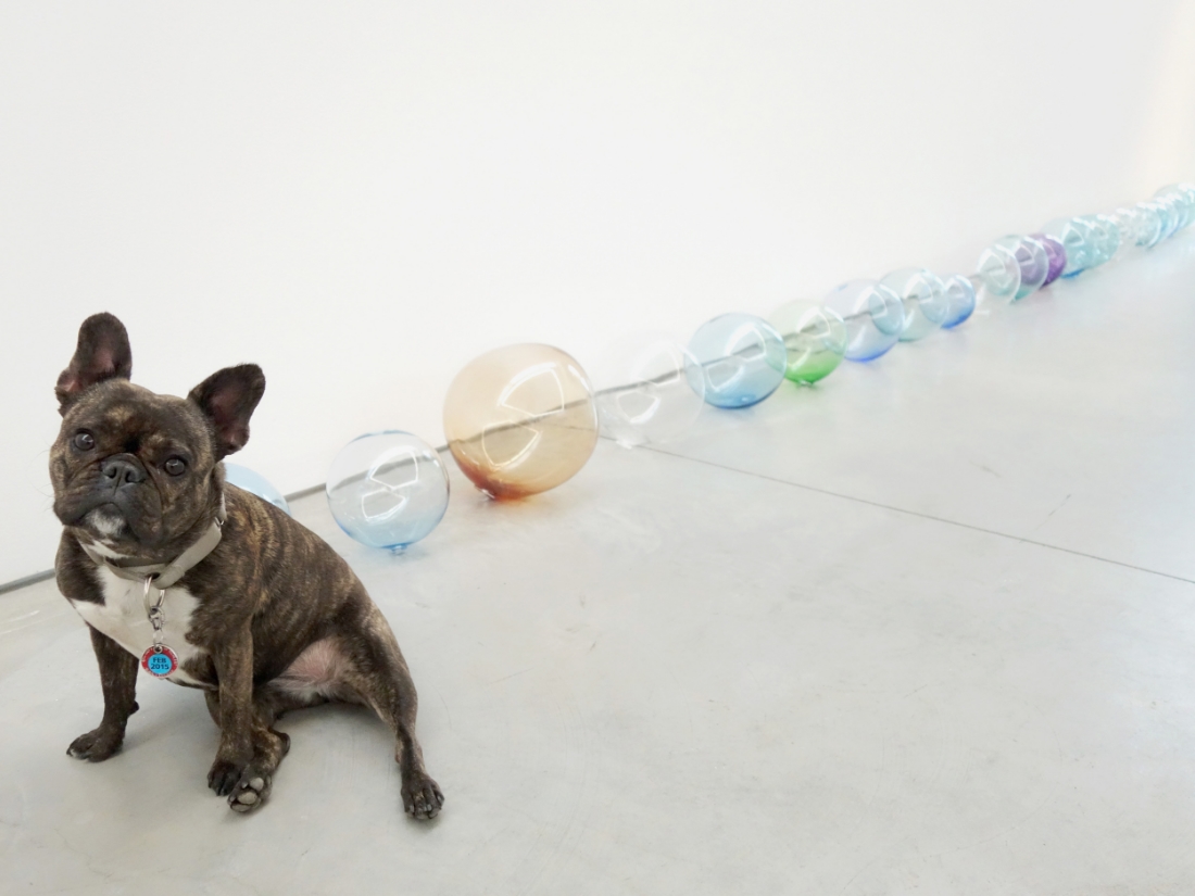 These are my farts...I fart a lot. Jeppe Hein “Breath,” 2015 in All We Need Is Inside at 303 Gallery.