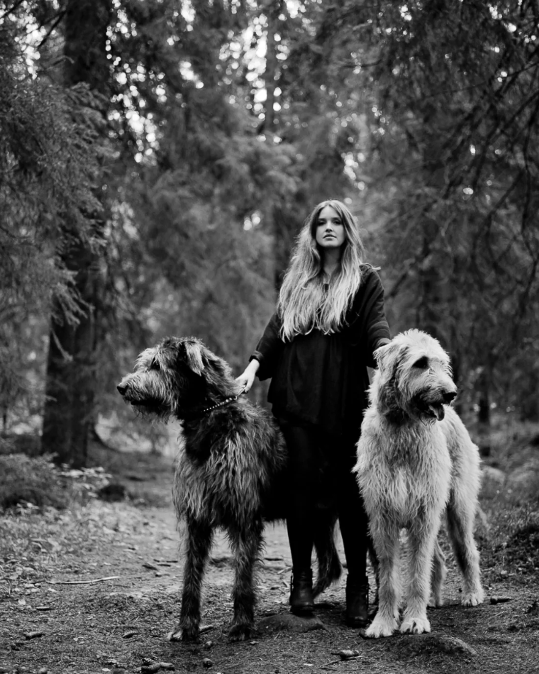 dogs best man mrs sizzle.jpeg