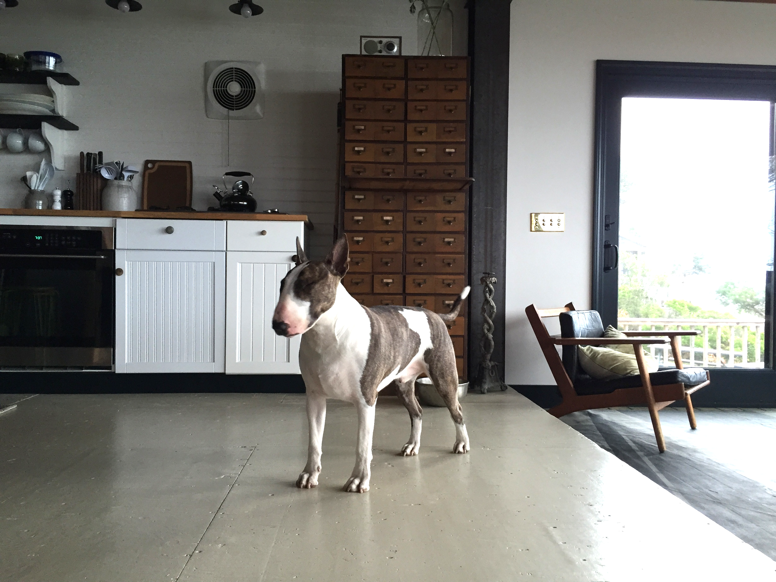 Me…in Carter’s kitchen…where I spent most of the weekend when I wasn’t running circles in the yard.