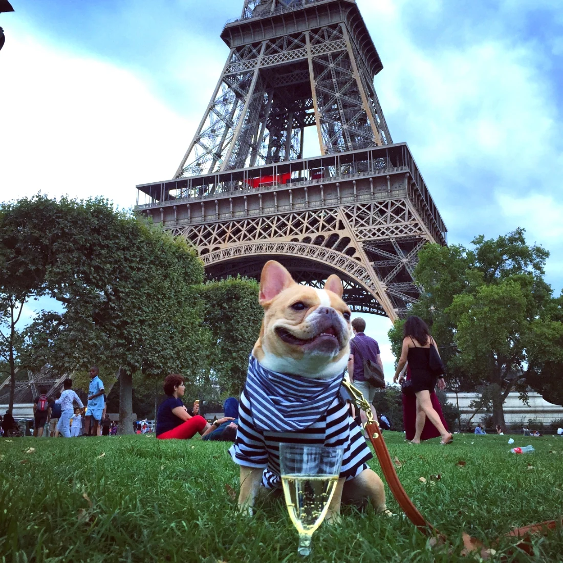 Scarf: Donni Charm Shirt: Iconic Pet