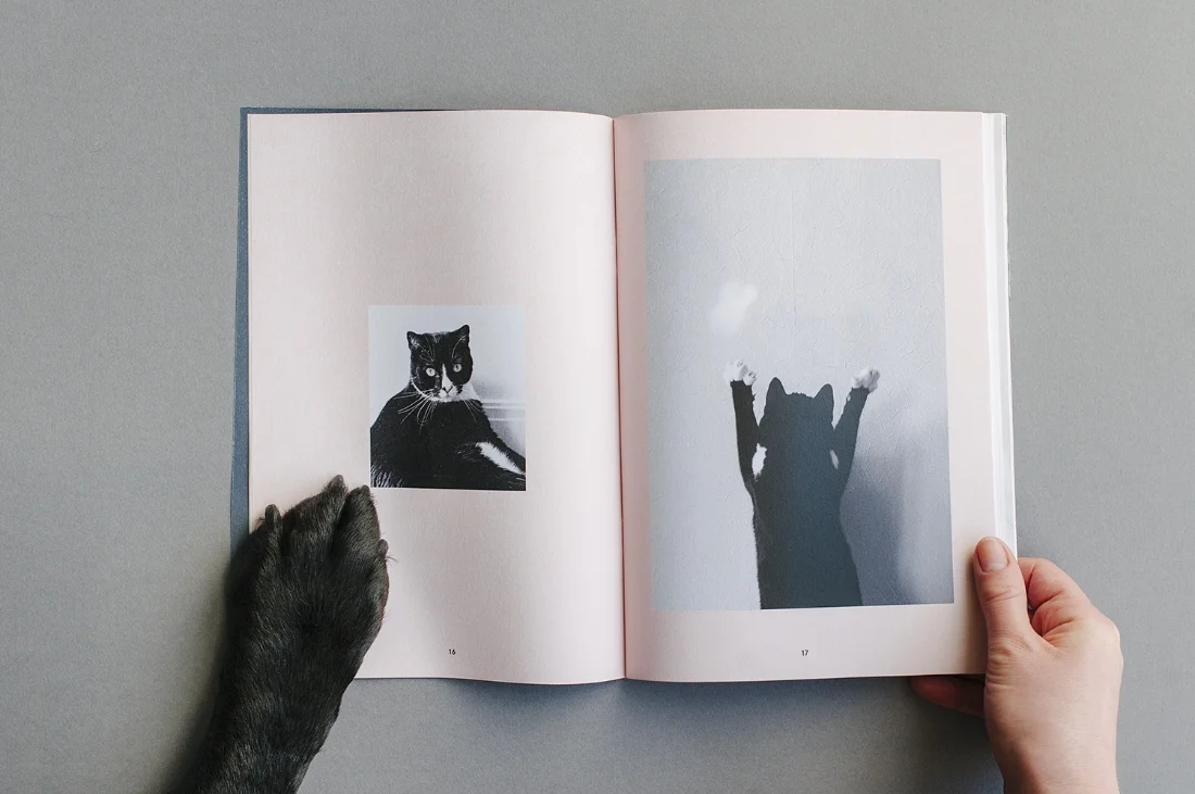 It's such a good read you won't be able to keep your paws off of it!