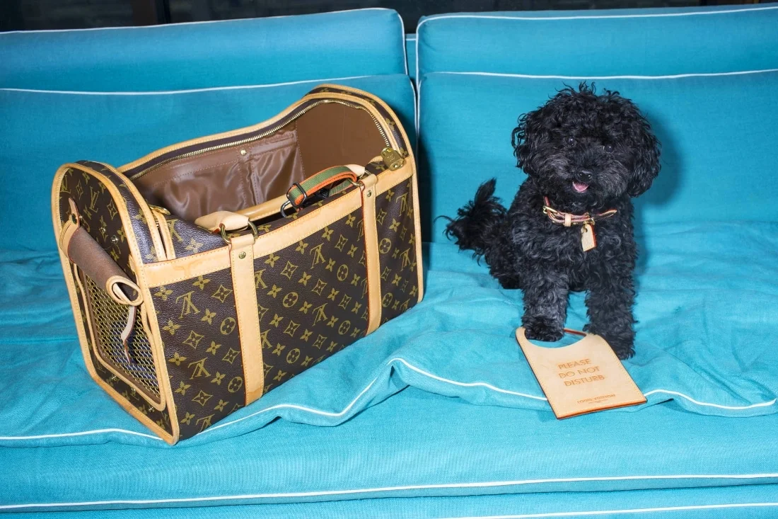 NEW YORK - JUNE 16: Faye McLeod and her dog Stella at home on June 16, 2015, in New York City. (Photo by Landon Nordeman)