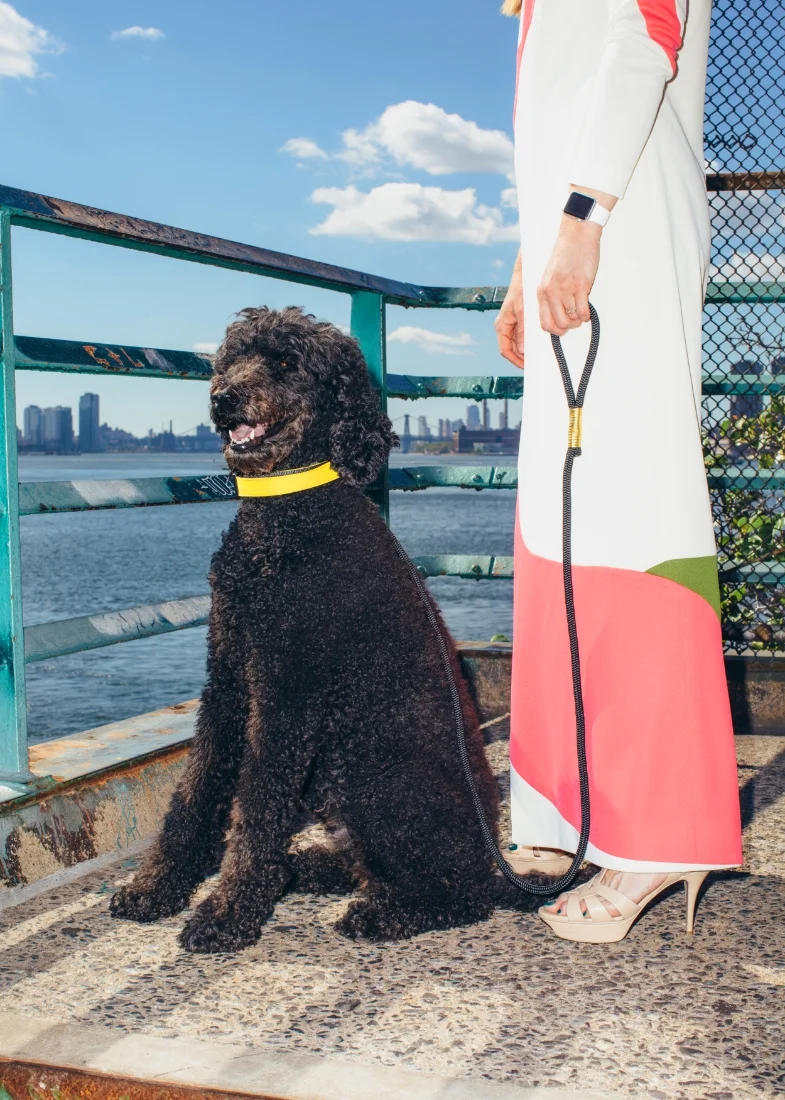 Remy @myhigherstandard wearing a WILDEBEEST collar and a RUGGED WRIST leash with Mom Jane Larkworthy @wmagjane in YSL heels and a vintage dress by Jack Bryan.