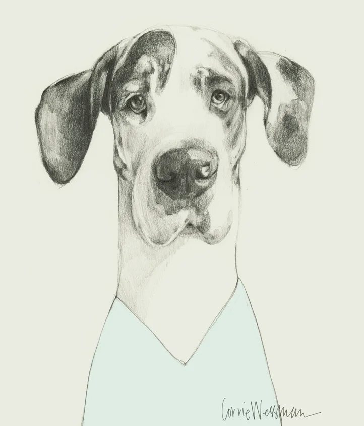 mrs sizzle corrie wessman.jpg