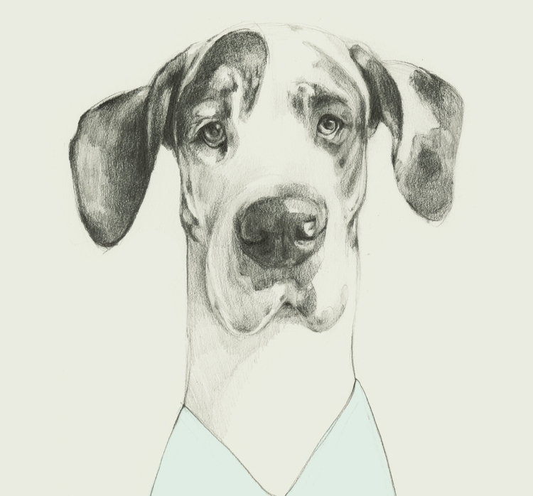 paws up for corrie wessman's animals
