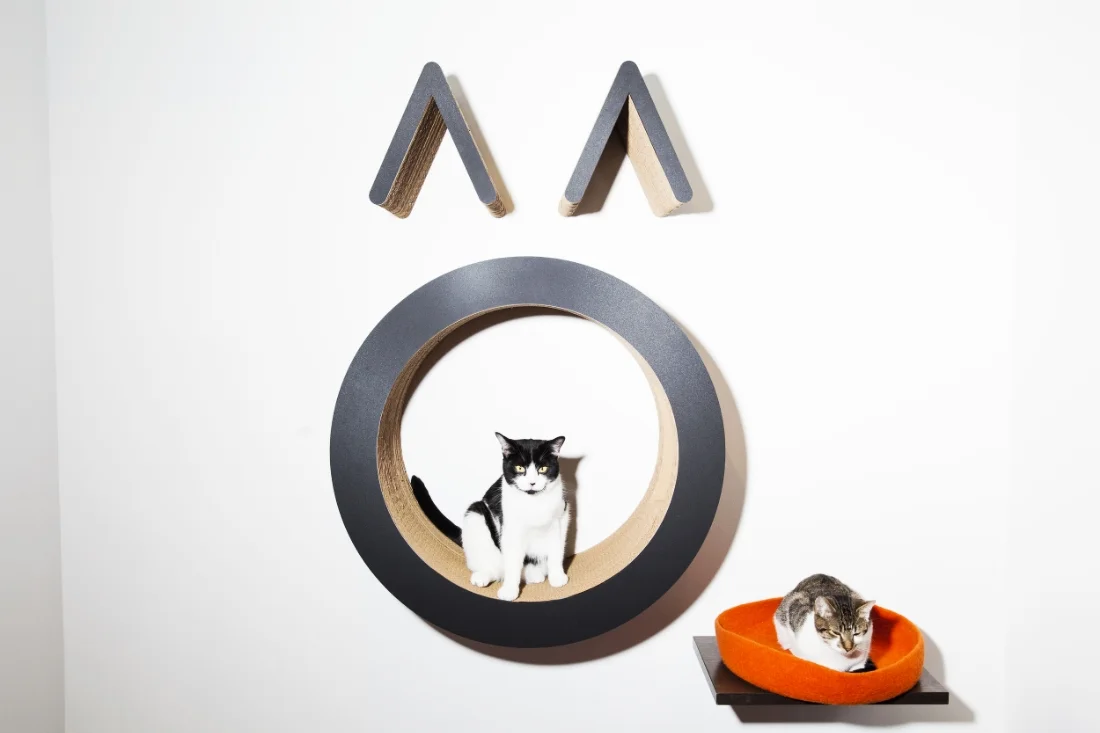 Cats chillin' at Koneko