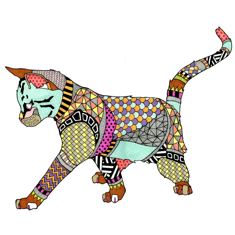 kaitline oconner cats mrs sizzle.jpg