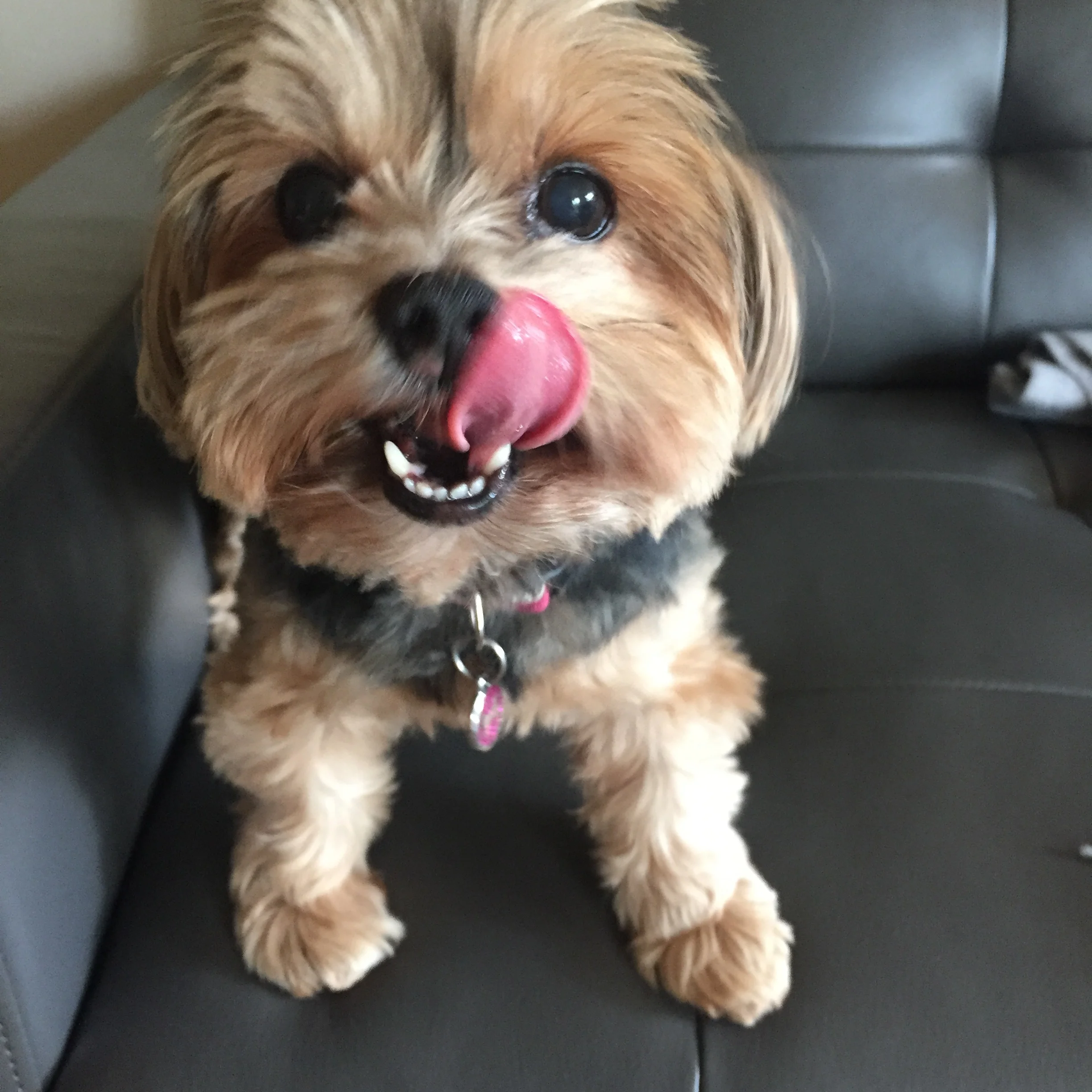 Charlotte, 11 yrs