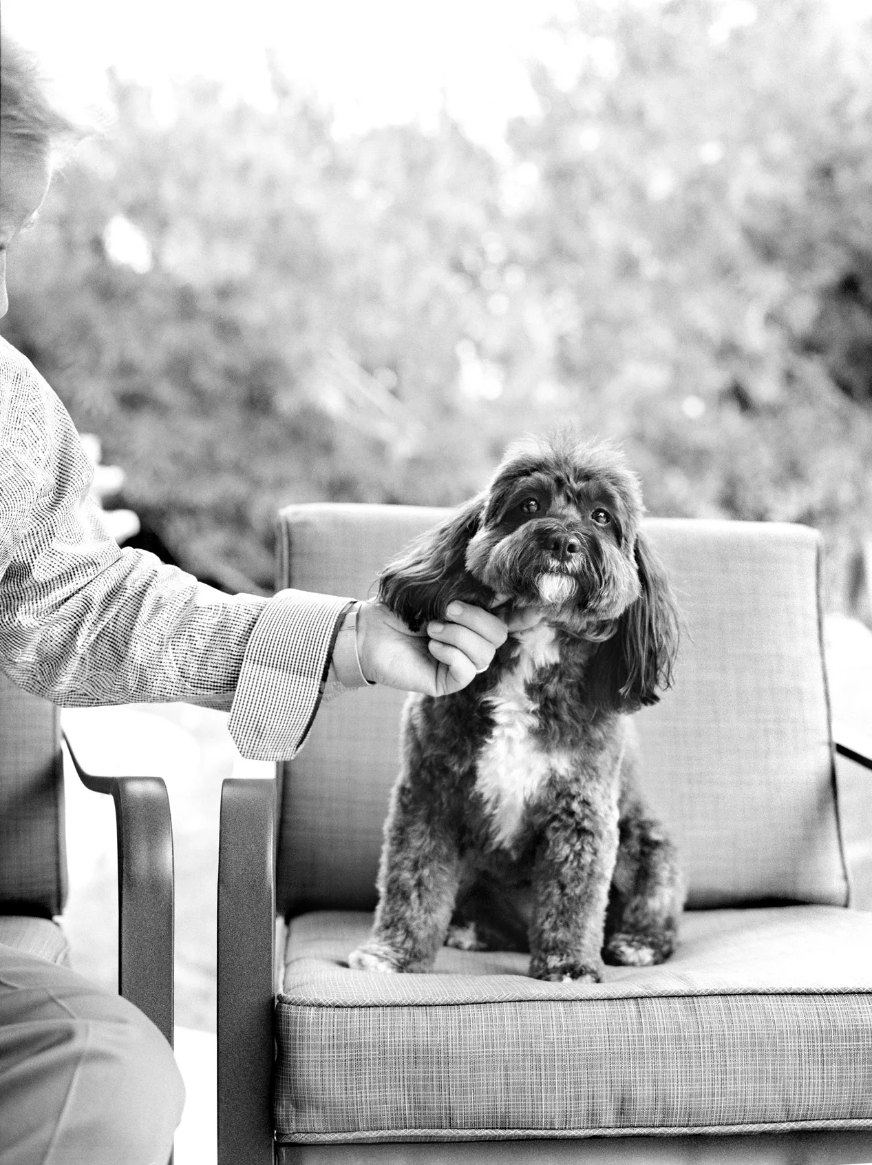jesse friedland dog mrs sizzle.jpg