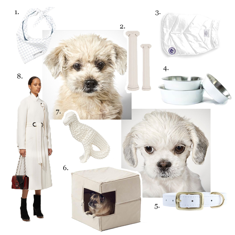 Sizzling summer whites
