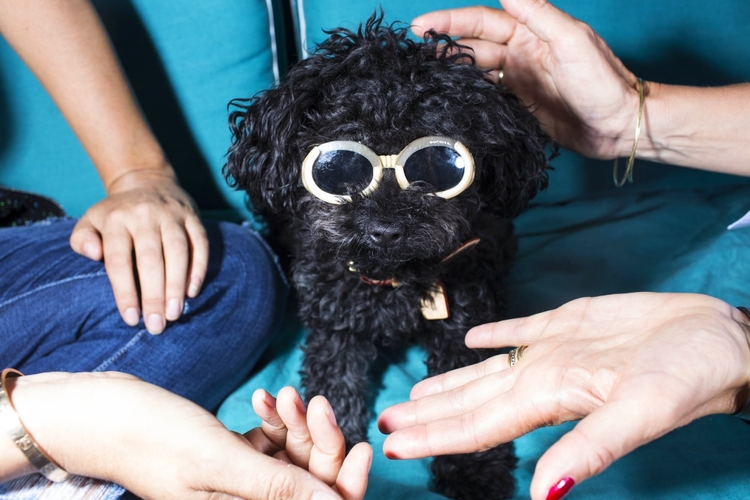 Mrs sizzle visits FAYE and stella Mcleod with photographer landon nordeman