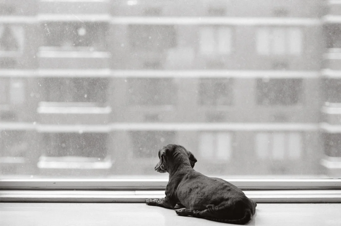 Poople 14 years old, New York