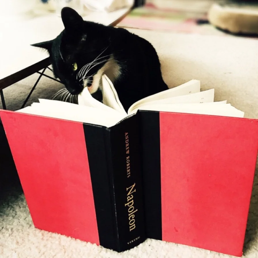 Oldie but goody, a real page turner