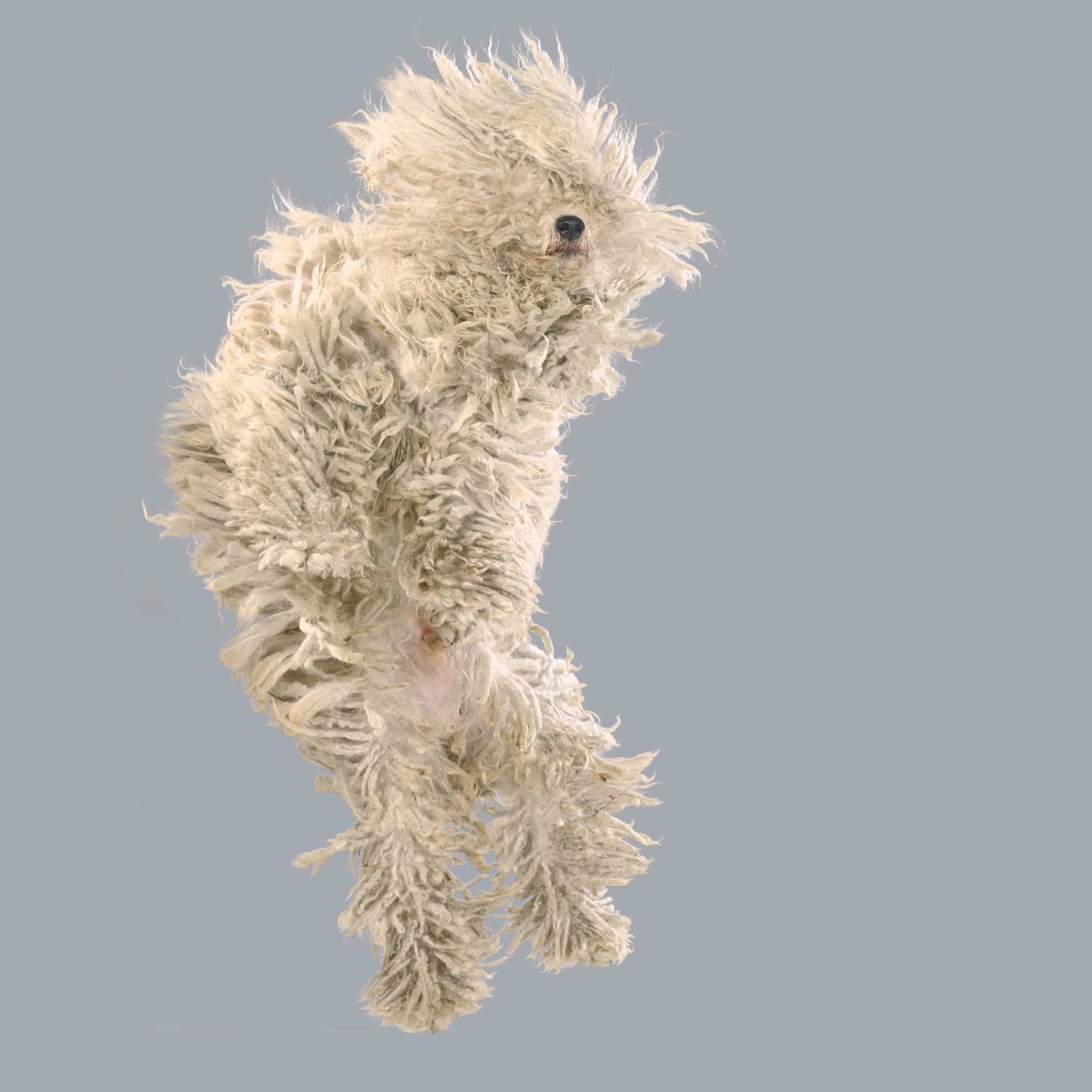 Flying Dogs Mrs Sizzle.jpg