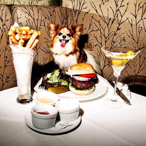 FASHION, FOOD AND FOOLS - MRS. SIZZLE VISITS FREDS AT BARNEYS FOR CANINE DELIGHTS