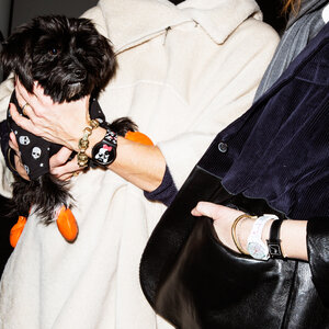 AMY LOMBARD AND EDIE SIZZLE TAKE ON #NYFL (YES, LEASH)