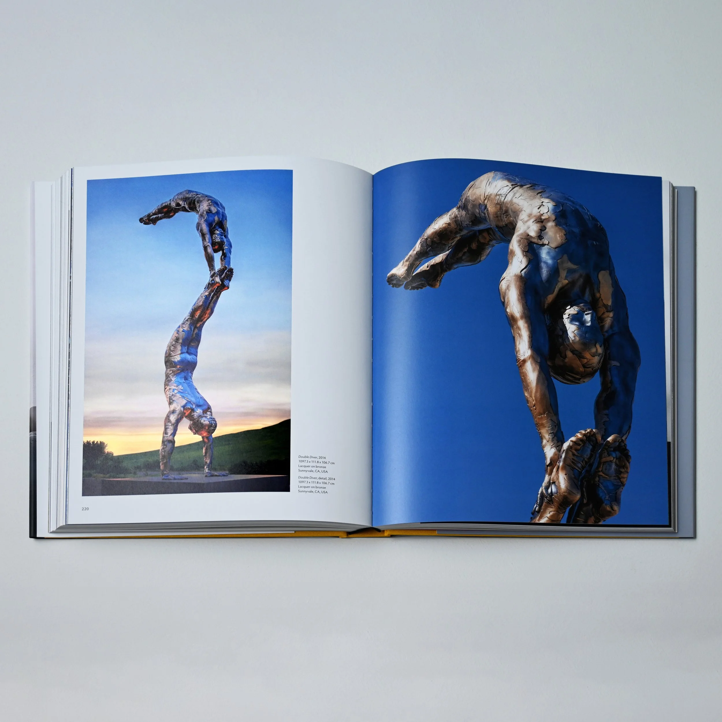 rizzoli 002 DSC_8359 copy 2.jpg